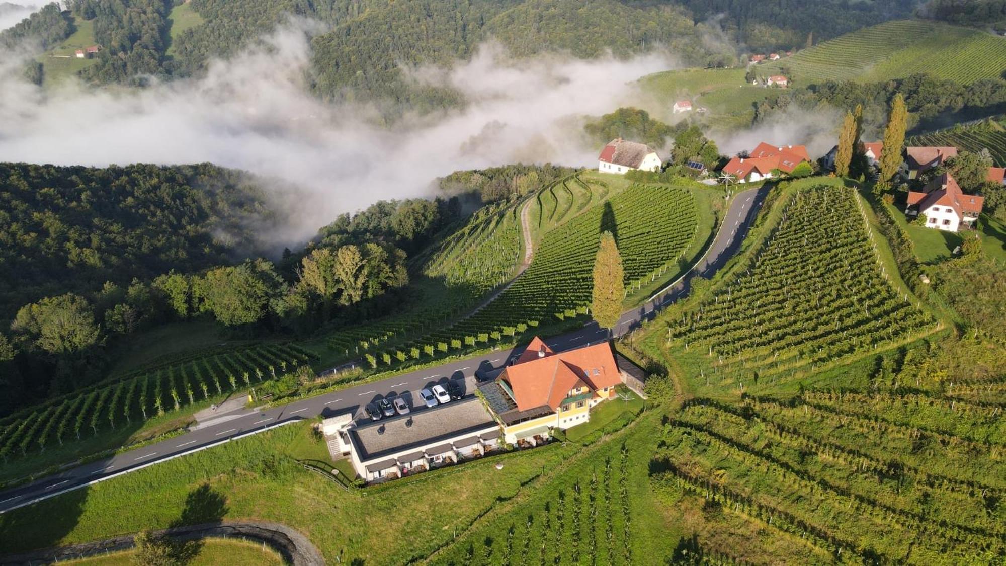 Wohlmuth-Lueckl Hotell Kitzeck im Sausal Exteriör bild